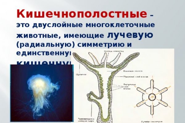 Скачать bs player с официального сайта