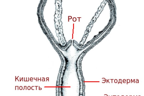 Блэкспрут ссылка тор