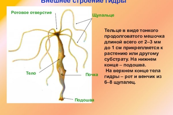 База блэкспрут с адресами bs2web top