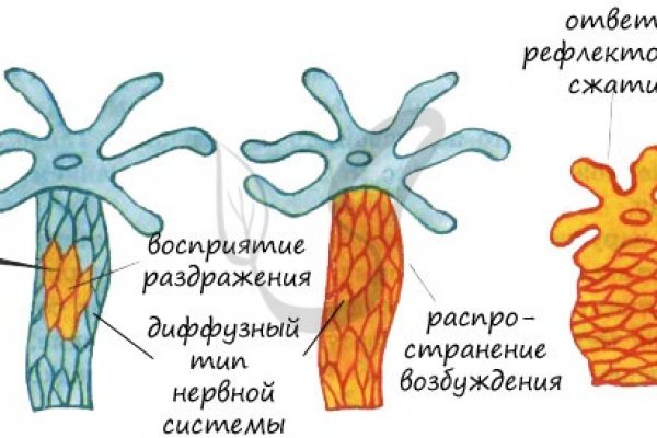 Официальная ссылка на blacksprut bs2web top